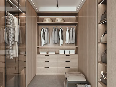 Modern Walk in Closet With Hanging Clothes Wooden Cabinets Drawers Baskets And Bench 3d model