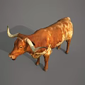 Brown And White Spotted Bull With Long Horns Standing On Gray Background
