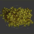Tiny Freshwater Creatures Among Vibrant Yellow Aquatic Moss In Dark Background