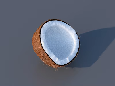 Halved Coconut With Brown Shell And White Flesh On Gray Background 3d model
