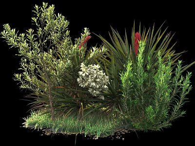 Diverse Green Leafy Shrubs With Red Flowers In Natural Garden Setting 3d model