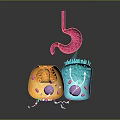 Colorful 3D Illustration of Brain Neurons with Organelles and Cellular Structures