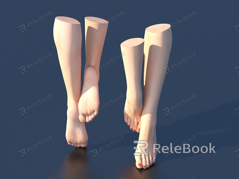 Manicure of Human Foot Model model