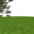 Lush Green Shrubs Thriving On Grassy Field With Tree Branches Overhead