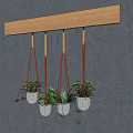 Hanging Basket Plants With White Pots And Red Ropes On Wooden Rod Against Gray Wall
