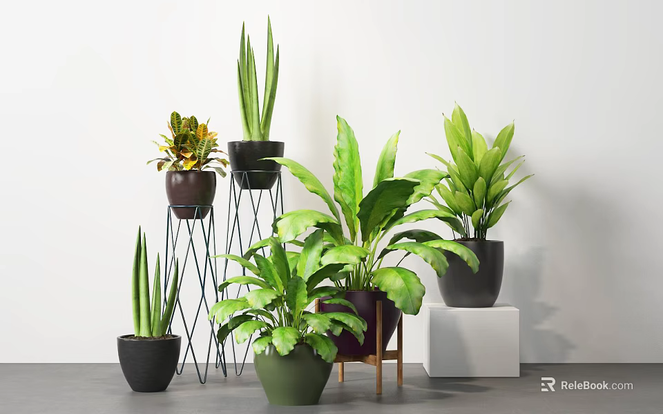 Diverse Potted Plants With Broad Slender Leaves In Black Green Pots On Stands And White Blocks 3d model 