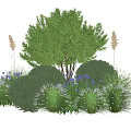 Lush Garden Shrub Surrounded By Purple Flowers And Ornamental Grasses In Outdoor Landscape