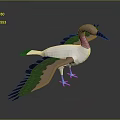 Beautiful Flight Animal Bird with Pink Head White Body Brown Wings and Blue Feet Standing