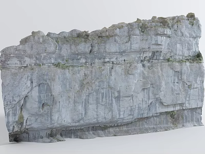 Majestic Rocky Cliff Scenery With Layered Rock Texture And Sparse Vegetation 3d model