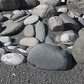 Natural Stone And Wood Decorative Arrangement With Various Sizes On Circular Ground