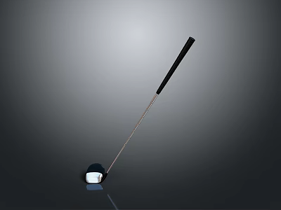 Golf Ball And Club Placed On Dark Surface With Reflective Light 3d model