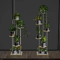 Multi Tiered Indoor Plant Stands With Various Green Plants And Decor