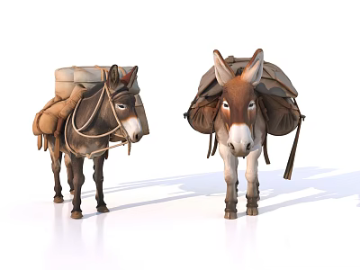 Two Reptile Tortoises Carrying Luggage Packs On White Background Surface 3d model