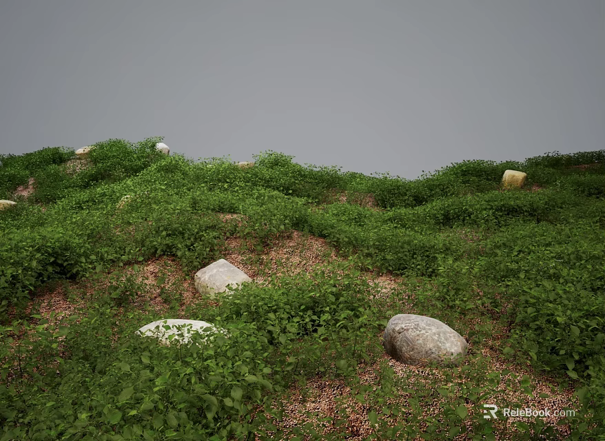 Lush Green Plants Covered Grassland With Scattered Stones And Gray Sky 3d model 