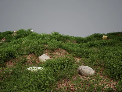 Lush Green Plants Covered Grassland With Scattered Stones And Gray Sky 3d model