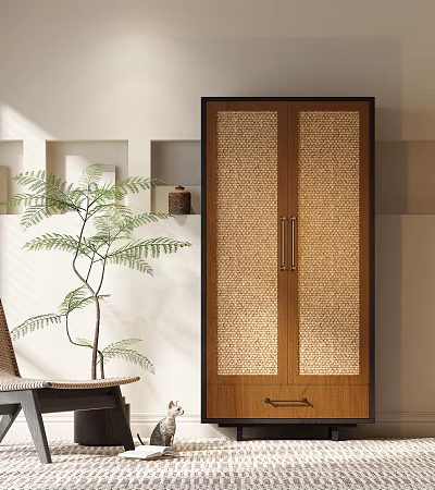 Rattan Wardrobe Doors With Wooden Frame In Modern Interior With Green Plant 3d model
