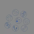 Creative Wall Decor With Animal And Human Footprints In Circular Designs