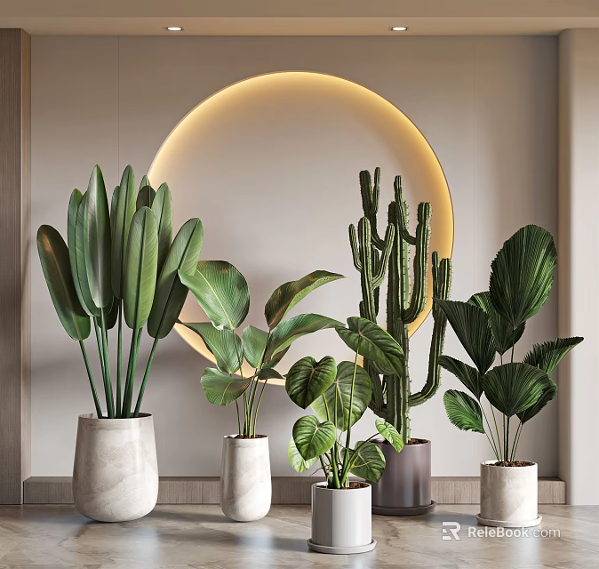 Stylish Indoor Potted Plants With Diverse Leaf Shapes And Decorative Planters 3d model 
