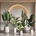 Stylish Indoor Potted Plants With Diverse Leaf Shapes And Decorative Planters