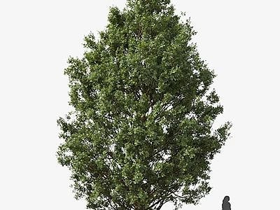 Lush Green Arbor With Dense Foliage And Human Figure For Size Scale 3d model