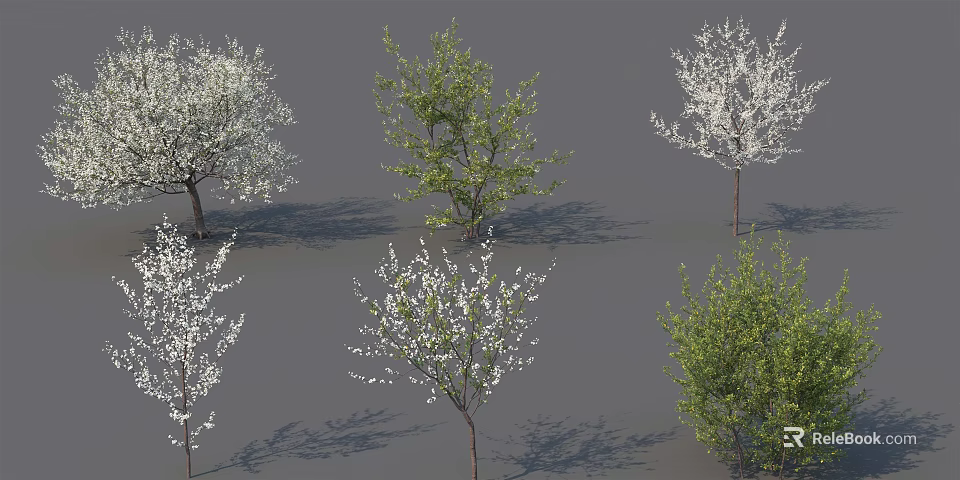 Various Arbor Trees With White Blossoms And Green Leaves Display Set 3d model