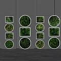 Plant Paintings on Black Wall with Circular and Square Frames Featuring Green Plants Neatly Arranged