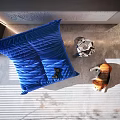 Living Room with Large Blue Cushion Ornamental Object and Cat on Gray Floor