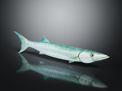 Green And White Barracuda Fish On Black Background With Clear Reflection 3d model