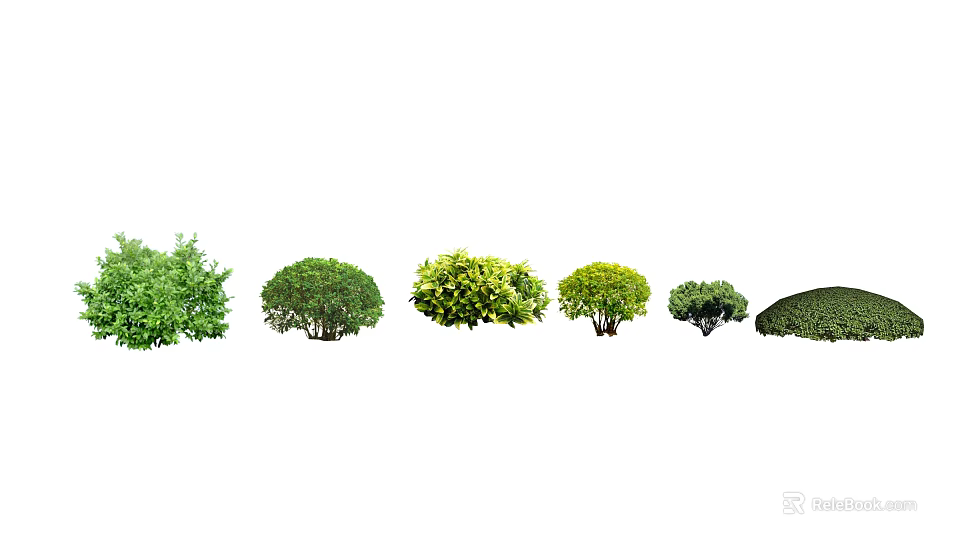 Various Garden Shrub Varieties With Different Shapes and Green Foliage 3d model 
