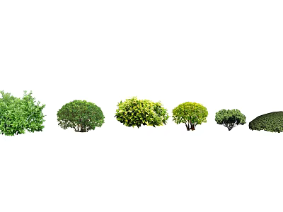 Various Garden Shrub Varieties With Different Shapes and Green Foliage 3d model