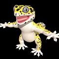 Yellow and Black Spotted Gecko With White Underbelly Open Mouth Outstretched Limbs On Black Background