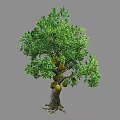 Lush Green Arbor With Dense Foliage Strong Trunk And Hanging Yellow Fruits