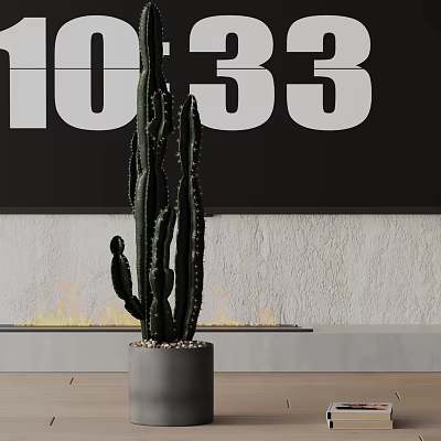 Tall Green Cactus Potted Plant In Gray Pot Indoor Against Black Wall With White Numbers 3d model