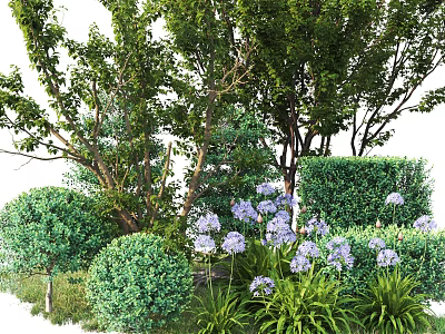 Green Garden Shrubs with Rounded Shapes Purple Flowers and Lush Foliage 3d model