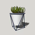 Modern Potted Plant With Green Pointed Leaves In White Conical Pot And Blue Metal Frame