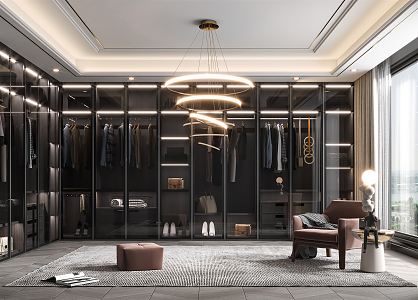 Light Luxury Cloakroom 3d model