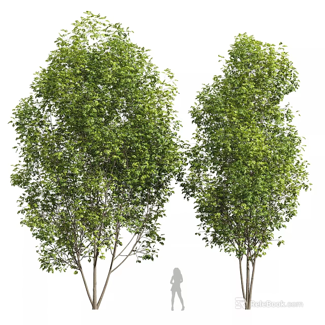 Lush Green Leafy Shrubs With Dense Foliage And Human Figure For Scale 3d model 