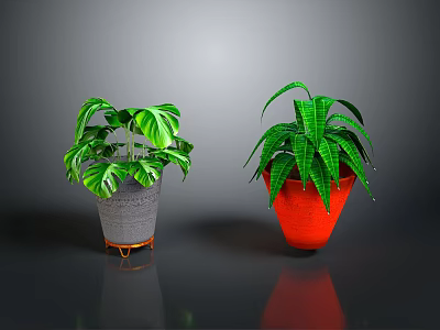 Indoor Green Plants With Different Leaf Patterns In Gray Pot Gold Stand And Red Pot 3d model
