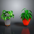 Indoor Green Plants With Different Leaf Patterns In Gray Pot Gold Stand And Red Pot