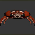 Vibrant Red Crab Featuring Large Claws And Long Legs On Gray Background 3d model
