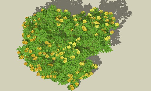 Modern shrubs, flowers and plants 3d model