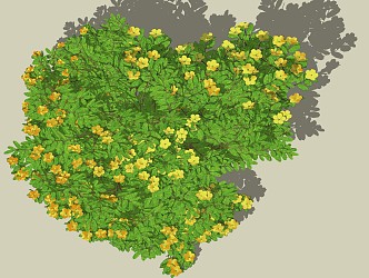 Modern shrubs, flowers and plants 3d model