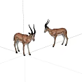 Two Antelopes with Long Curved Horns Brown Fur Standing on White Background
