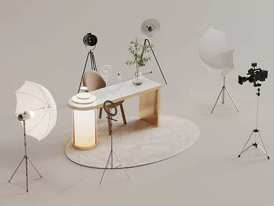 Modern Photography Studio Setup With Table Chair Lights Camera And Green Plant 3d model