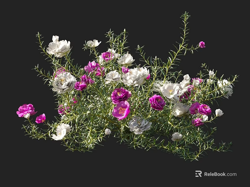 Vibrant Pink and White Flowers with Lush Green Leaves on Black Background 3d model 