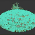 Natural Terrain With Scattered Stones Dirt And Small Grass In Circular Area