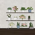 Multi Tiered Indoor Plant Stand With Various Flowers Potted Cacti And Succulents
