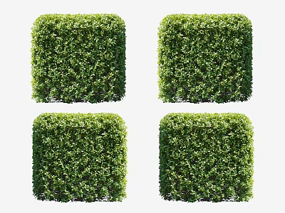 Four Neatly Trimmed Green Square Shaped Shrubs For Garden Landscaping 3d model