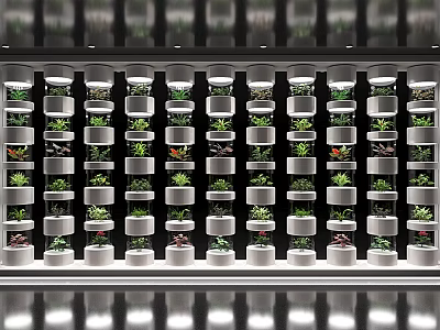 Elegant Modern Vertical Display Shelves Featuring Multiple Layers and Green Plants Arrangement 3d model