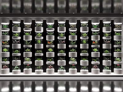 Elegant Modern Vertical Display Shelves Featuring Multiple Layers and Green Plants Arrangement 3d model